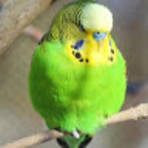 Meet your Posher, Stéphanie